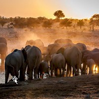 The stars of Namibia