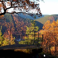 Wanderglück in der Pfalz