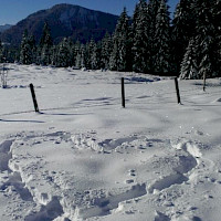 Winterzauber im Allgäu...