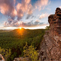 Wanderglück in der Pfalz II